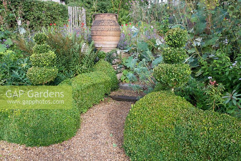Buxus sempervirens topiary garden with large classical urn. 