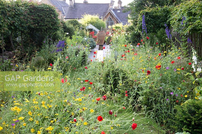 Grass pathway through wild flower planting, including Papaver rhoeas - Field poppy, with view of contemporary rill and classic urn in the background.  
