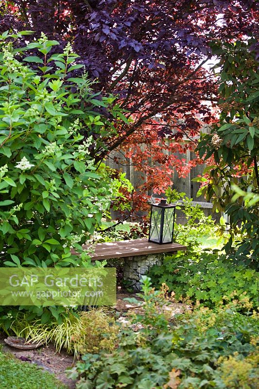 Secluded corner with bench for relaxing in the shade.