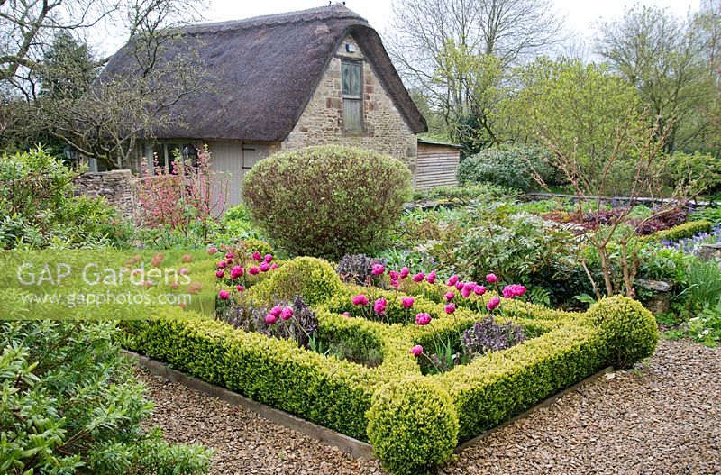 Clipped parterre in Cotswold Manor House Garden in Spring. 