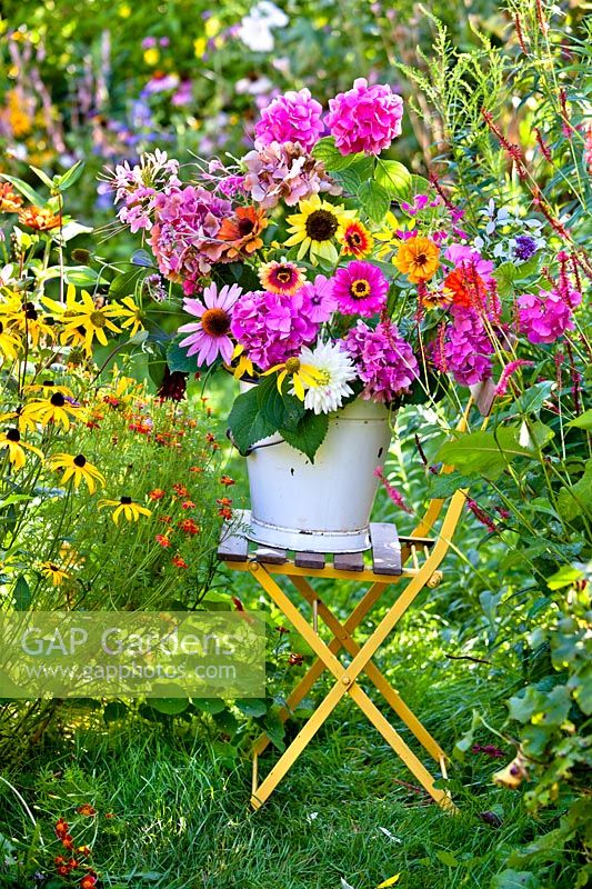 Bucket of summer flowers  - sunflowers, zinnias, dahlias, phlox, hydrangea, rose mallow and cleome.