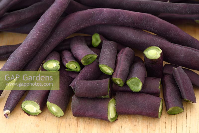 Phaseolus vulgaris 'Violet Podded' - French Climbing Bean - picked beans some cut up ready for cooking 