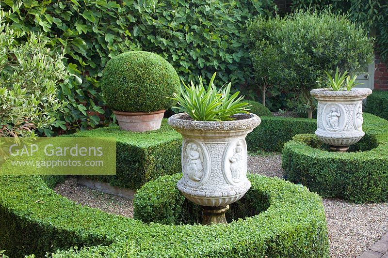 Scroll shaped Buxus sempervirens - Box - low hedge, enclosing decorative urns filled with Agapanthus. 