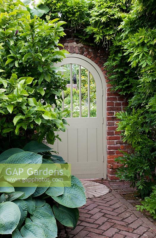 Painted wooden gate in walled garden with climbing Hydrangea petiolaris and Hostas. 