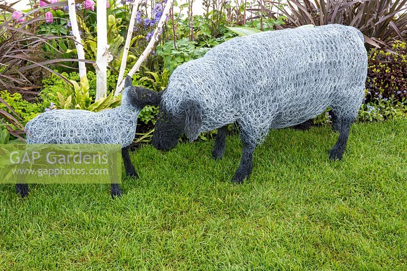 Chicken wire sculptures of a sheep and lamb on a grass lawn. Hidden Gems of Worcestershire garden, RHS Malvern Spring Festival, 2016. Design: Nikki Hollier