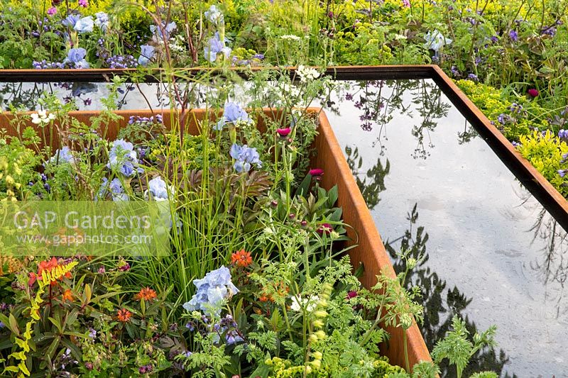 A corten steel water trough feature in a mixed herbaceous bed. The UCARE Garden, RHS Malvern Spring Festival, 2016. Designer Emily Sharpe