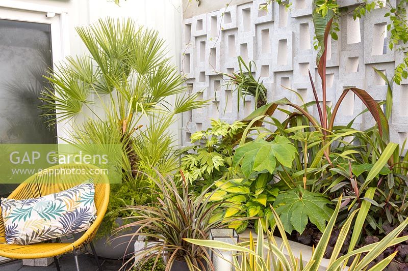 Raised bed border with green foliage perennial green foliage plants against a concrete block wall - yellow chair with cushion on patio - Defiance balcony garden. Green Living Spaces. RHS Malvern Spring Festival May 2019 - Designer: Sarah Edwards
