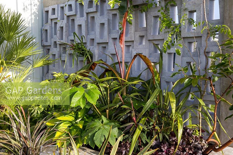 Raised bed border with green foliage perennial plants against a concrete block wall. Defiance balcony garden. Green Living Spaces RHS Malvern Spring Festival May 2019. - Designer: Sara Edwards - 