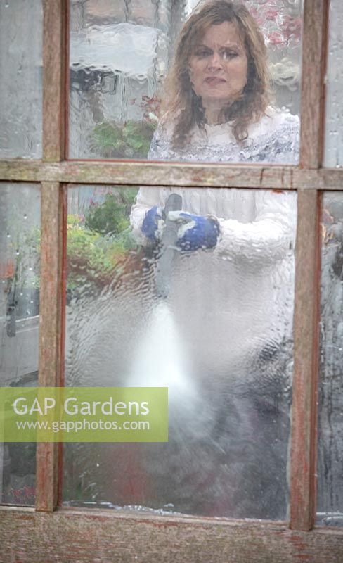 Cleaning greenhouse windows with a pressure washer.