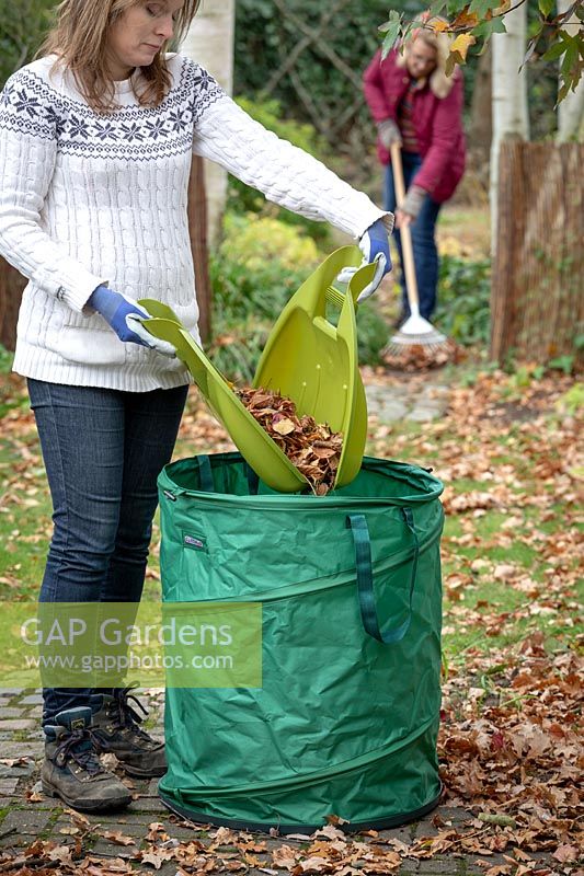 Autumn tidy up. Clearing leaves using a rake and leaf grabbers.