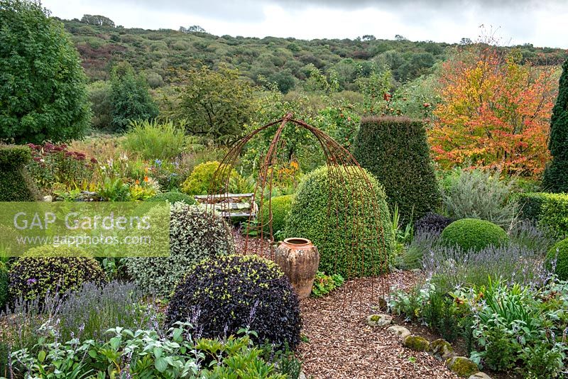 Topiary in country garden with views to landscape beyond in September 