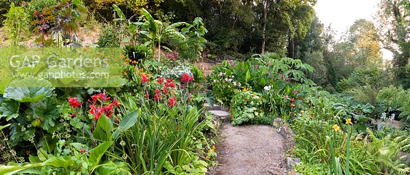 Panoramic view of a subtropical garden which is situated in a steep-sided valley or combe with its own sheltered microclimate which permits tender exotic plants to flourish