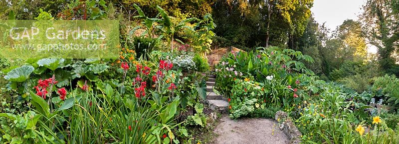Panoramic view of a subtropical garden which is situated in a steep-sided valley or combe with its own sheltered microclimate which permits tender exotic plants to flourish