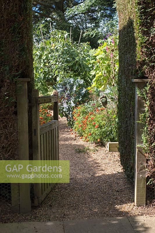 Gateway to vegetable garden. 