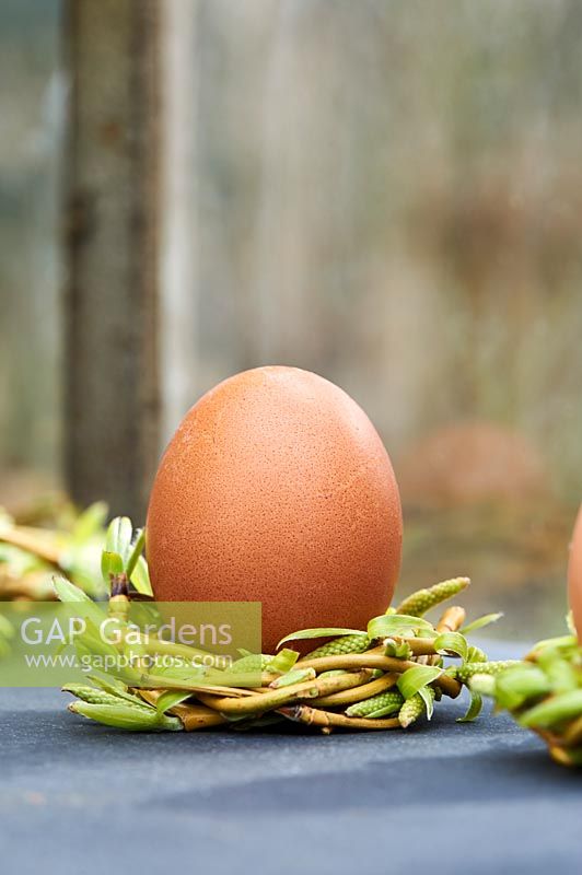 Still life of eggs set in a natural woven nests on a windowsill.