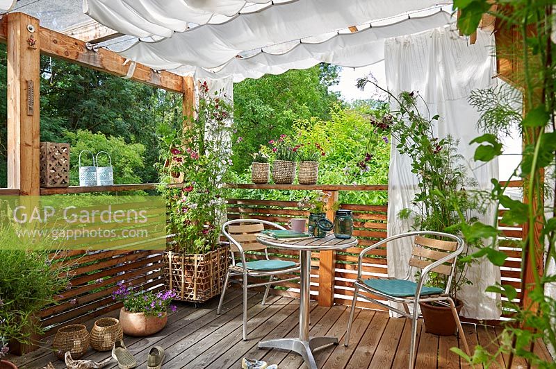 Summer balcony with seating, surrounded by vegetables planted in pots and greenery.