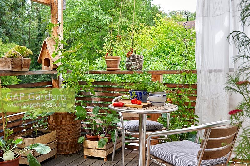 Summer balcony with seating, surrounded by vegetables planted in pots and greenery. 