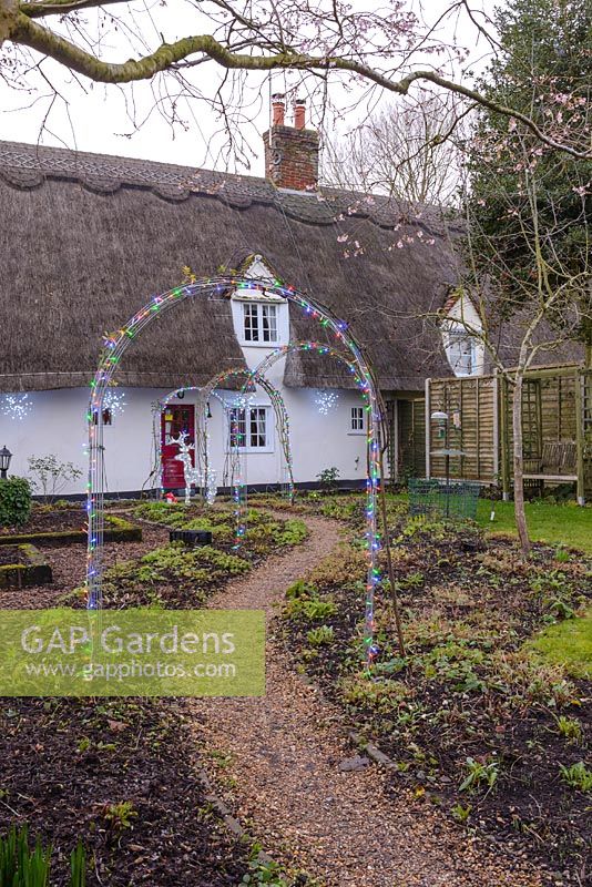 Christmas fairy lights over rose arches in December, over path leading to a thatched cottage. 