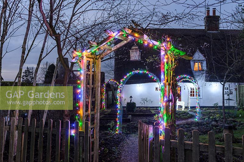 Christmas fairy lights over rose arches in December, over path leading to a thatched cottage.
