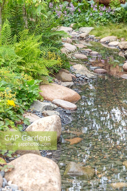 Shallow stream in woodland garden with edging of rocks and pebbles. The Zoflora and Caudwell Children's Wild Garden.  RHS Hampton Court Palace Flower Show, 2017. Designers: Adam White and Andree Davies. 