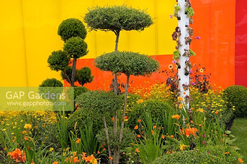 Cloud topiary against colourful acrylic wall pannelling with plants including Lilium, Crocosmia and Achillea.  Journey of Life garden - RHS Hampton Court Palace Flower Show 2017