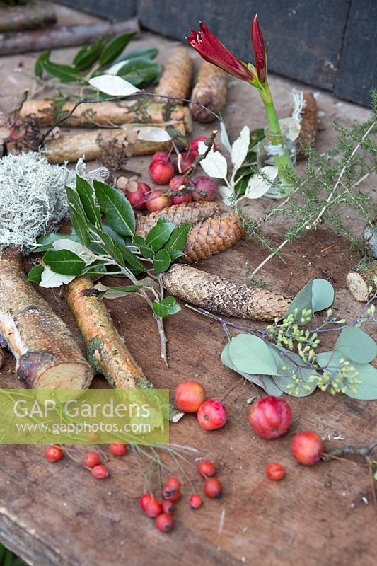Materials for creating a rustic arrangement with Birch sticks, berries, Eucalyptus and Pine foliage and cones 