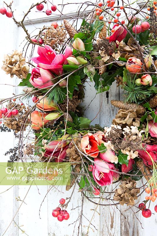Floral wreath with Hippeastrum, crab apples, pinecones, dried hydrangea flowers. Styling: Marieke Nolsen