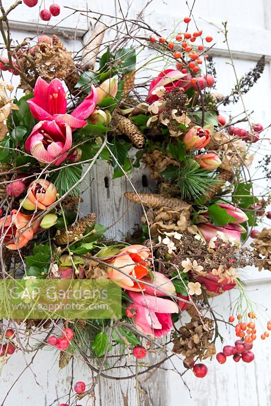 Floral wreath with Hippeastrum, Malus - Crabapple, Pinus - Pine cones, dried Hydrangea flowers 