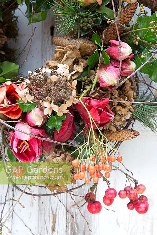 Detail of floral wreath with Hippeastrum, crab apples, pinecones, dried hydrangea flowers. Styling: Marieke Nolsen