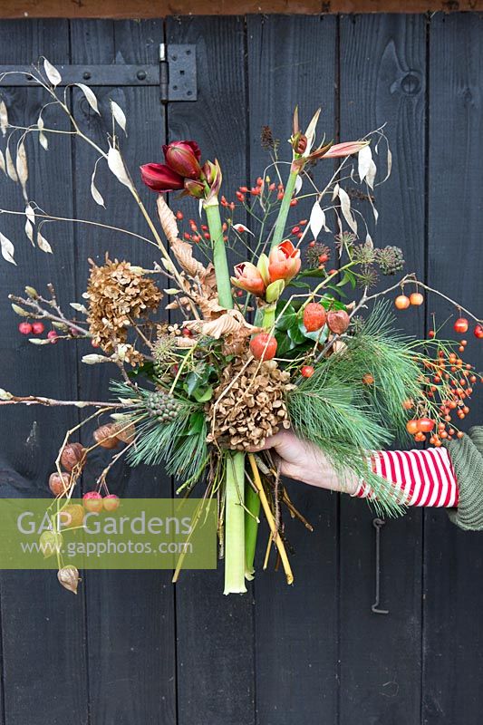 Woman holding floral arrangement with Hippeastrum, Hydrangea, Physalis, Rosehips, seedheads and Pinus - Pine foliage