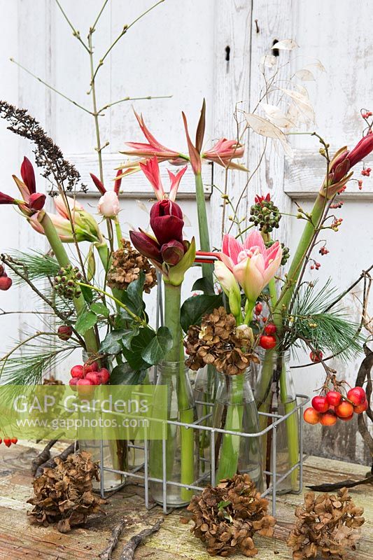 Floral arrangement in tray with milk bottles including Hippeastrum, crab apples, seedheads, holly and dried Hydrangea flowers. Styling: Marieke Nolsen
