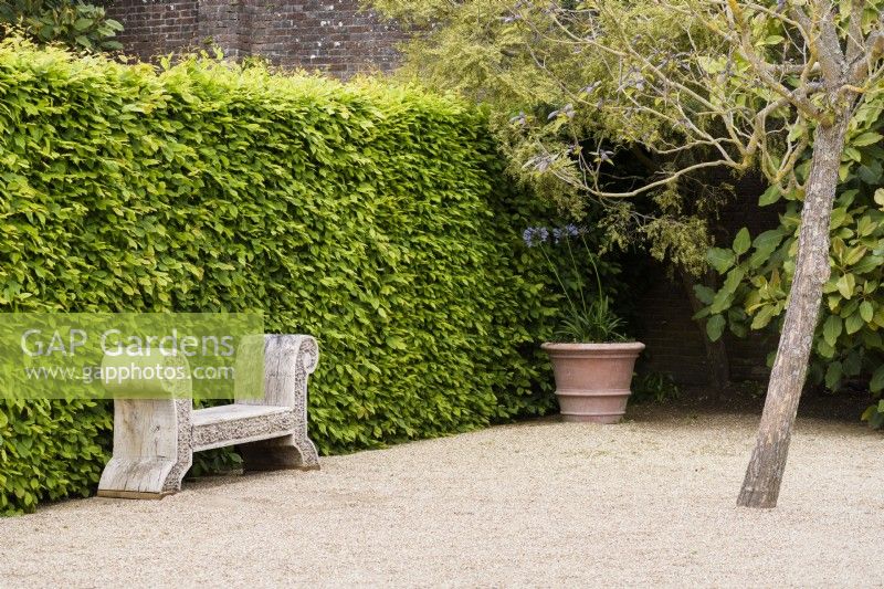 Green oak bench with rusticated effect in the Collector Earl's Garden at Arundel Castle, West Sussex in May