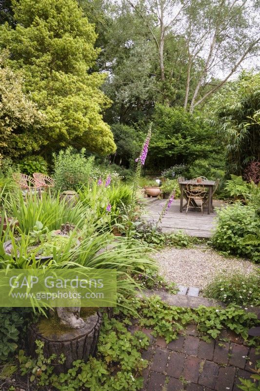 Simple dining deck surrounded by trees and soft planting including foxgloves, self seeded wild strawberry,  Fragaria vesca, and Erigeron karvinskianus in a cottage garden in June