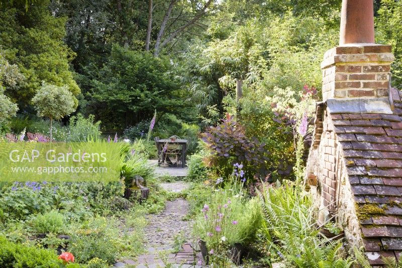 Path through a lush cottage garden leading to a simple decked dining area with planting including ferns and lots of self seeders including foxgloves and aquilegias in a cottage garden in June