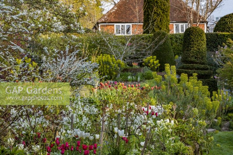 The Oast, East Sussex in Spring with Tulips