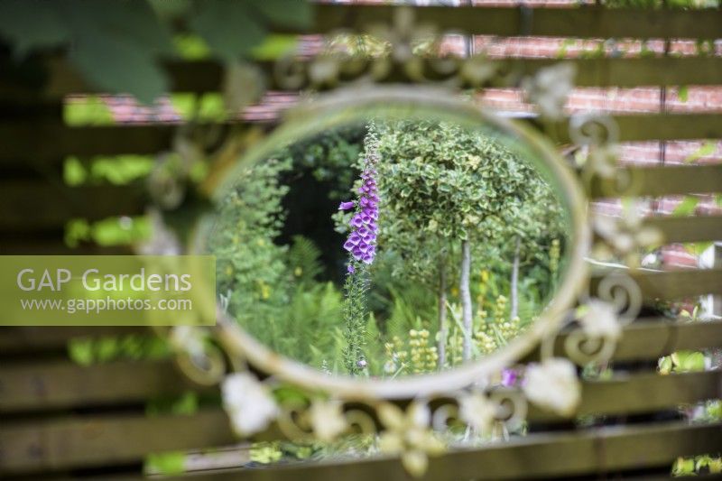 Decorative mirror used in a cottage garden in June.