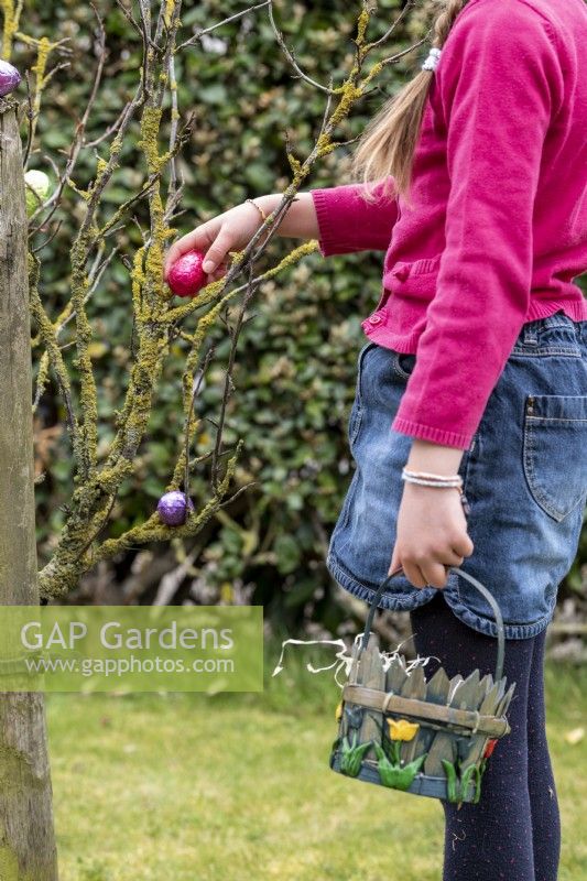 Child collecting a pink chocolate egg from a tree at Easter