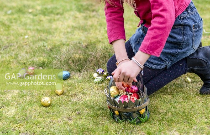Child collecting colourful chocolate eggs in basket at Easter