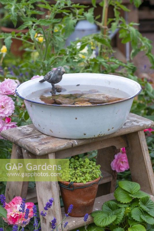 Down Memory Lane. An enamel bowl perched atop a wooden set of steps, creates a pretty water feature.