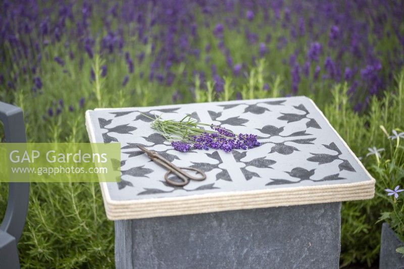 Lavender and scissors on stone slab table