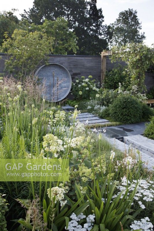 In A place to Meet Again Garden, the path paved with smooth dutch style pavers cuts through the planting which uses a green and white palette with Agapanthus and Hydrangea paniculata; at the back, a water feature of repurposed brass taps stands against a wall of stacked concrete slabs- Designer: Mike Long - Sponsors: Association of Professional Landscapers, Kebur Garden Materials, Creepers Nurseries, Landscape Plus.