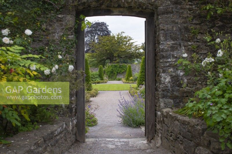 View through wall entrance in Upper Walled Garden  to formal topiary area with topiary beyond - Designer: Penelope Hobhouse - June