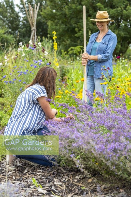 Two women talking while gardening