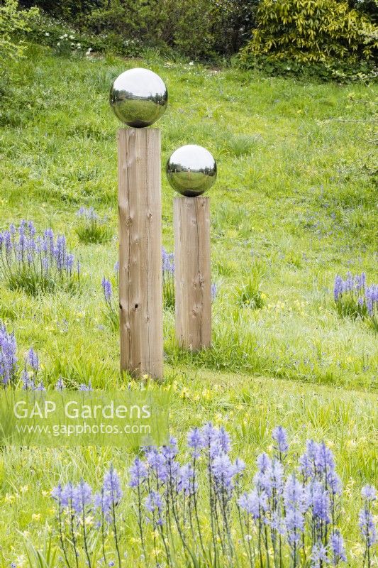Wooden columns topped with stainless steel globes reflecting the surroundings. Meadow planted with Camassia leichtlinii aka Camassia leichtlinii subsp.suksdorfii. June. Summer