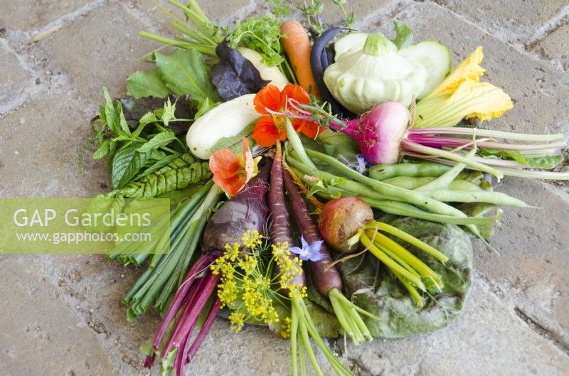 Selection of edible flowers, salad leaves and vegetables, picked from the Kitchen Garden, Hampton Court Palace