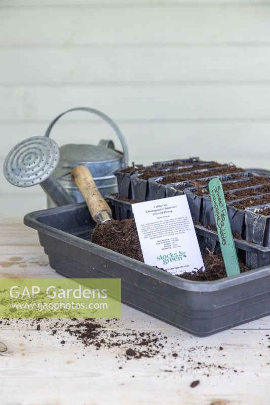 Watering can, Sweet Pea seeds, compost, compost scoop, root trainers and a plant label laid out on a wooden surface