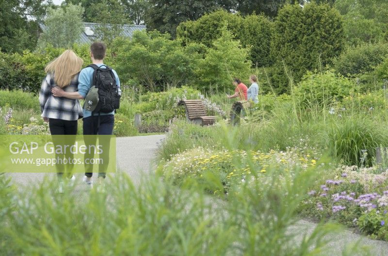 Couple wandering between mixed borders of perennials and grasses.