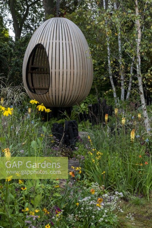 The Yeo Valley Organic Garden, planted with Betula pendula, Rudbeckia laciniata 'Herbstsonne', Kniphofia 'Tawny King' and  Miscanthus sinensis 'Morning Light'. In this woodland garden is an egg-shaped, steam-bent oak hide made by Tom Raffield.
