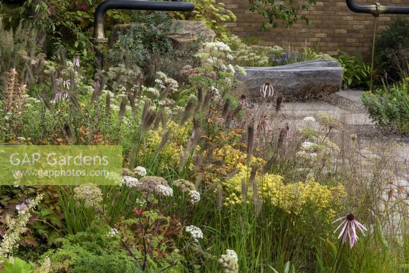 M and G garden has transformed a industrial space into green oasis. Plants include:  Pennisetum alopecuroides 'Cassian', Echinacea pallida and Cenolophium denudatum. 
