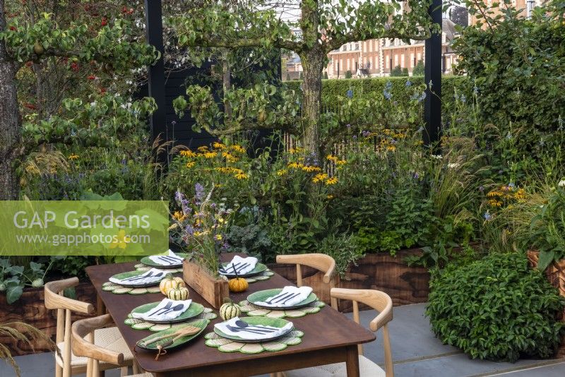 The Parsley Box Garden, a table on the terrace enclosed by espalier fruit trees, Malus 'Evereste' and Prunus lusitanica which are underplanted with herbs, courgettes and Rudbeckia fulgida Goldsturm.